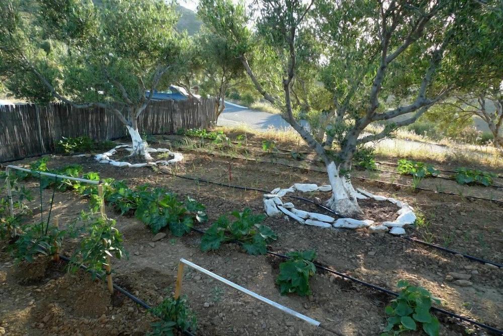 Bellair Village Agia Pelagia  Buitenkant foto