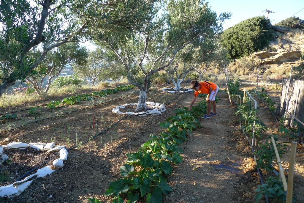 Bellair Village Agia Pelagia  Buitenkant foto